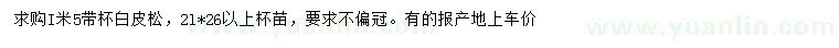 求購(gòu)1.5米白皮松