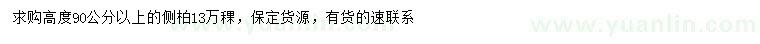 求購(gòu)高度90公分以上側(cè)柏