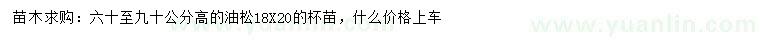 求購(gòu)高60-90公分油松