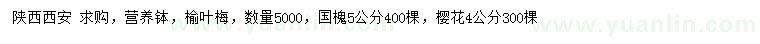 求購榆葉梅、國槐、櫻花