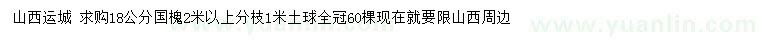 求購18公分國槐