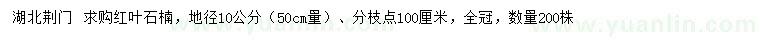 求購50公分量地徑10公分紅葉石楠