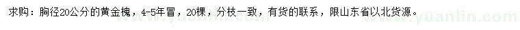 求購胸徑20公分黃金槐