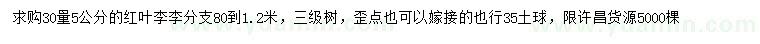 求購30量5公分紅葉李