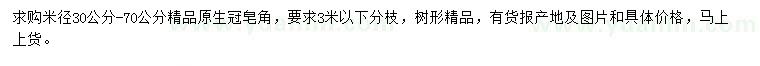 求購米徑30-70公分精品皂角