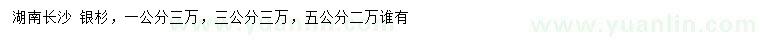 求購1、3、5公分銀杉