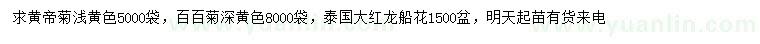求購黃帝菊、百百菊、大紅龍船花
