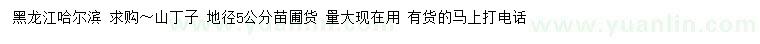 求購地徑5公分山丁子