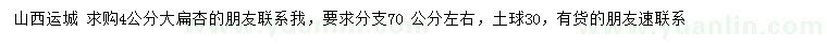 求購4公分大扁杏