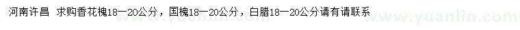 求購香花槐、國槐、白臘