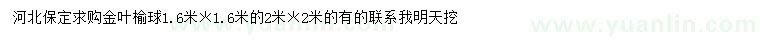 求購(gòu)1.6*1.6米、2*2米金葉榆球