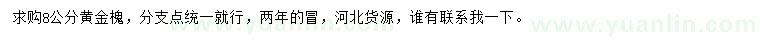 求購8公分黃金槐