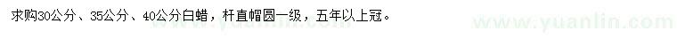 求購30、35、40公分白蠟