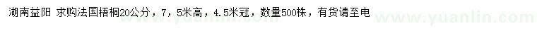 求購20公分法國梧桐