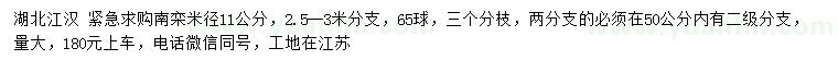 求購米徑11公分南欒