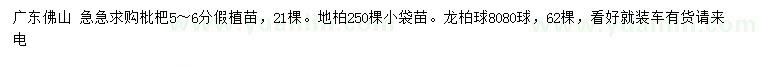 求購枇杷、地柏、龍柏球