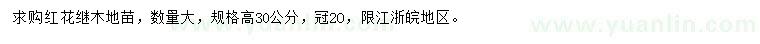 求購高30公分紅花繼木