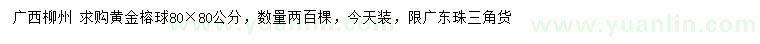 求購(gòu)80*80公分黃金榕球
