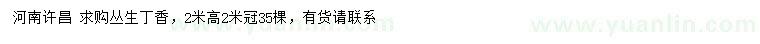 求購高2米叢生丁香