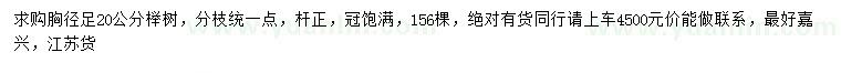 求購(gòu)胸徑足20公分櫸樹(shù)