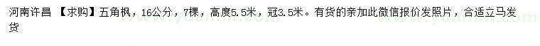 求購16公分五角楓
