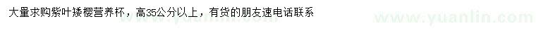 求購紫葉矮櫻