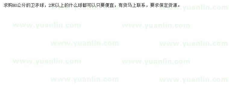 求購80公分衛(wèi)矛球
