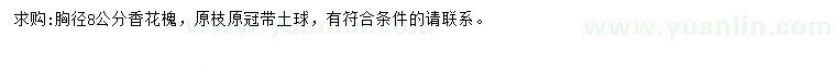 求購胸徑8公分香花槐