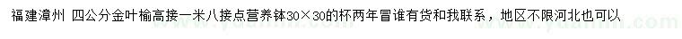 求購4公分金葉榆