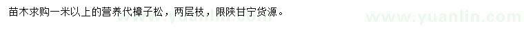 求購(gòu)1米以上樟子松