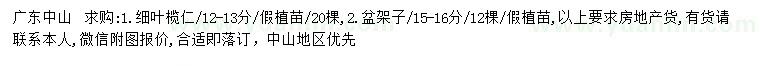 求購12-13公分細(xì)葉欖仁、15-16公分盆架子