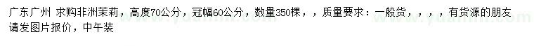 求購高度70公分非洲茉莉