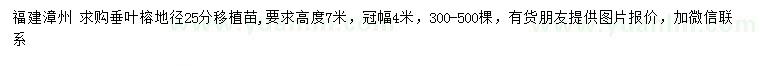 求購(gòu)地徑25分垂葉榕移植苗