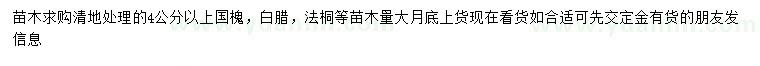 求購國槐、白臘、法桐