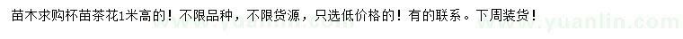 求購高1米茶花