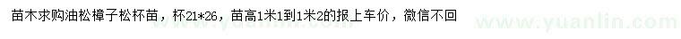 求購高1-1.2米油松、樟子松