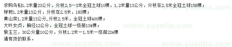 求購(gòu)烏桕、櫸樹、黃山欒等