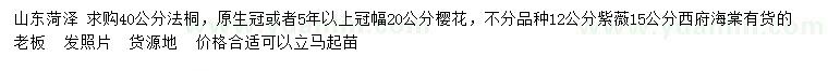 求購(gòu)法桐、櫻花、紫薇等