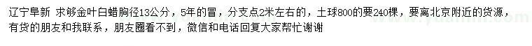 求購(gòu)胸徑13公分金葉白蠟