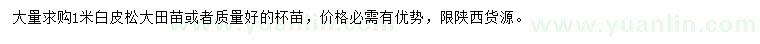 求購1米白皮松