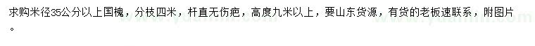 求購米徑35公分以上國槐
