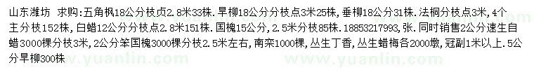 求購五角楓、旱柳、垂柳等