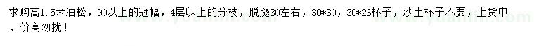 求購高1.5米油松