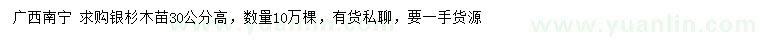 求購高30公分銀杉木苗