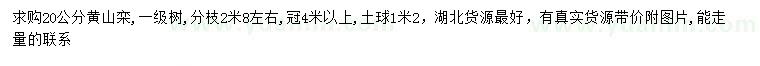 求購(gòu)20公分黃山欒