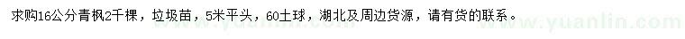 求購16公分青楓