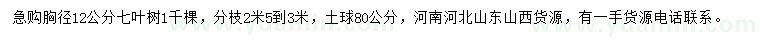 求購(gòu)胸徑12公分七葉樹(shù)