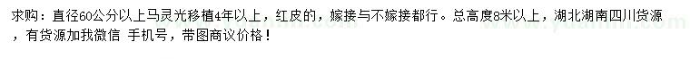 求購(gòu)直徑60公分以上移植馬靈光