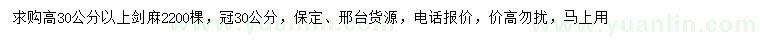 求購高30公分以上劍麻