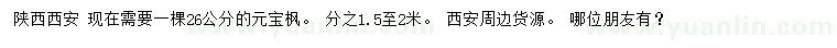 求購26公分元寶楓